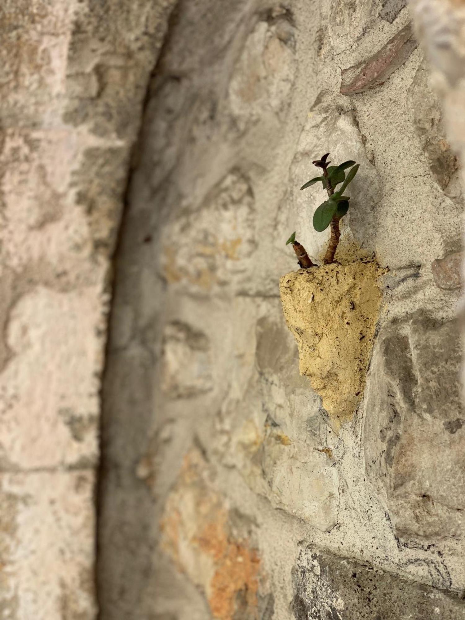 La Cle De La Porte B&B Antibes Zewnętrze zdjęcie