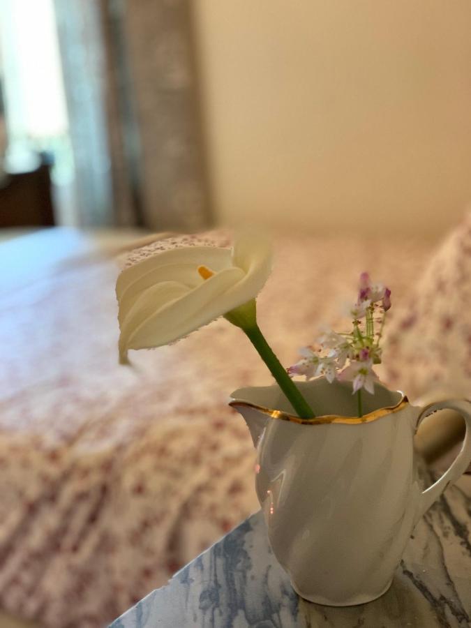 La Cle De La Porte B&B Antibes Zewnętrze zdjęcie